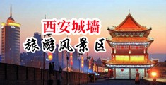 九七羞羞答答中国陕西-西安城墙旅游风景区